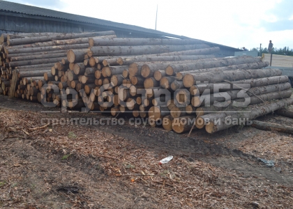 Лес на эстакаде для распиловки