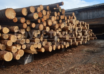 Лес на эстакаде для распиловки